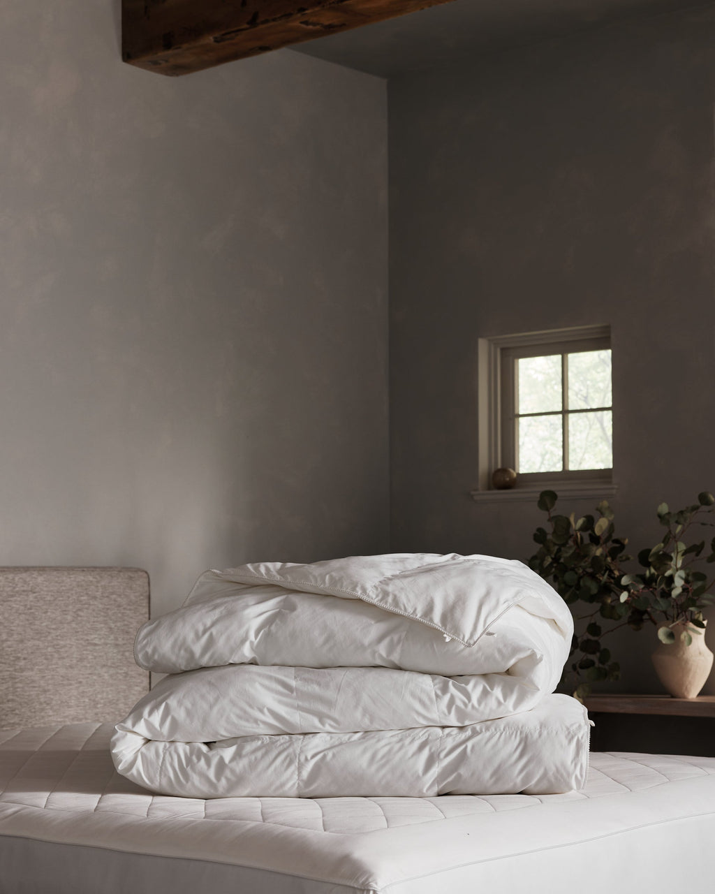 A neatly folded Cozy Earth Down Alternative Comforter rests on a bed in a softly lit, minimalist bedroom with gray walls, a small window, and a potted plant on a wooden table.Coal Stripe/Striped Alabaster, Laurel Stripe/Striped Bone |Filling:Lightweight