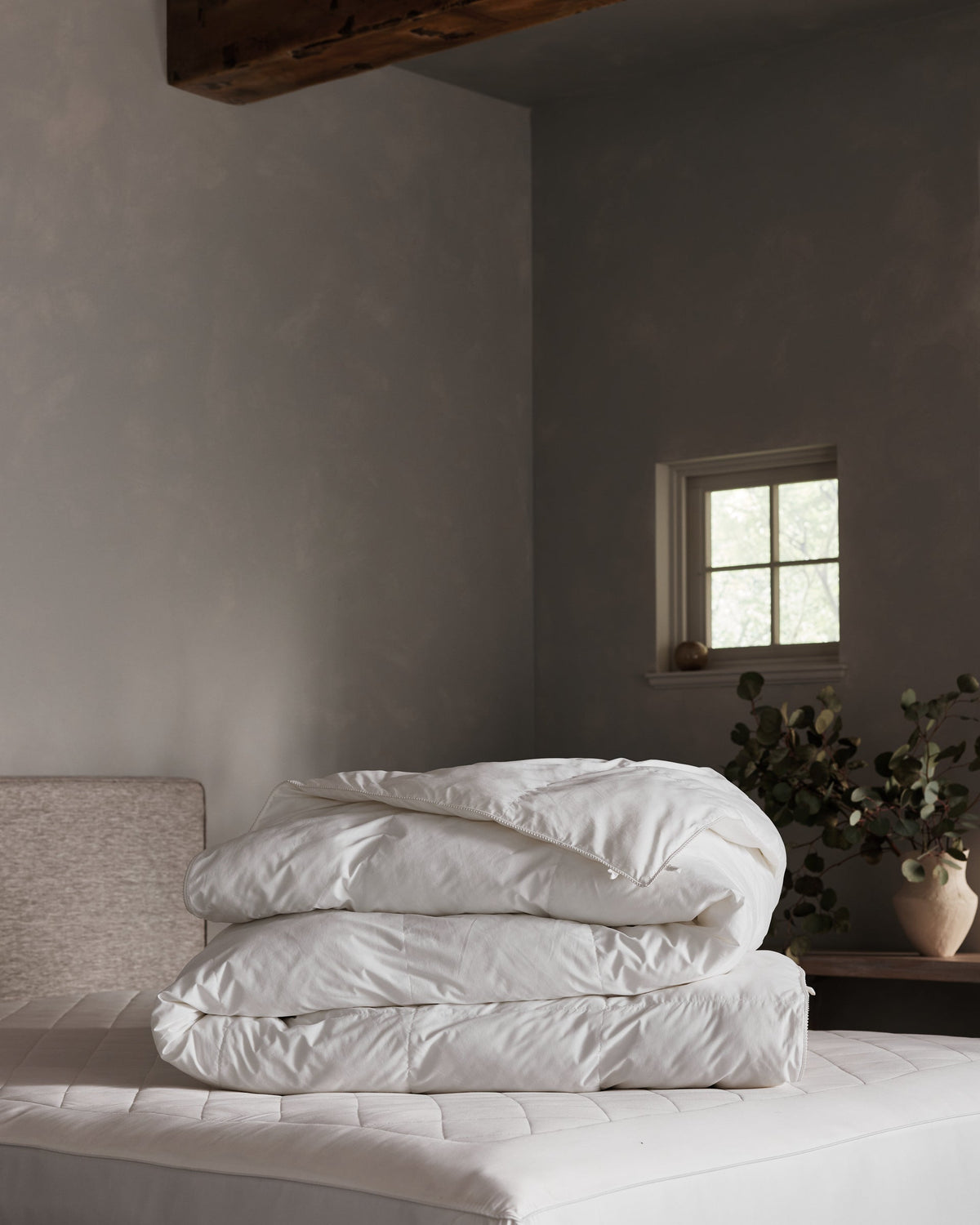A neatly folded Cozy Earth Down Alternative Comforter rests on a bed in a softly lit, minimalist bedroom with gray walls, a small window, and a potted plant on a wooden table.Coal Stripe/Striped Alabaster, Laurel Stripe/Striped Bone |Filling:Lightweight