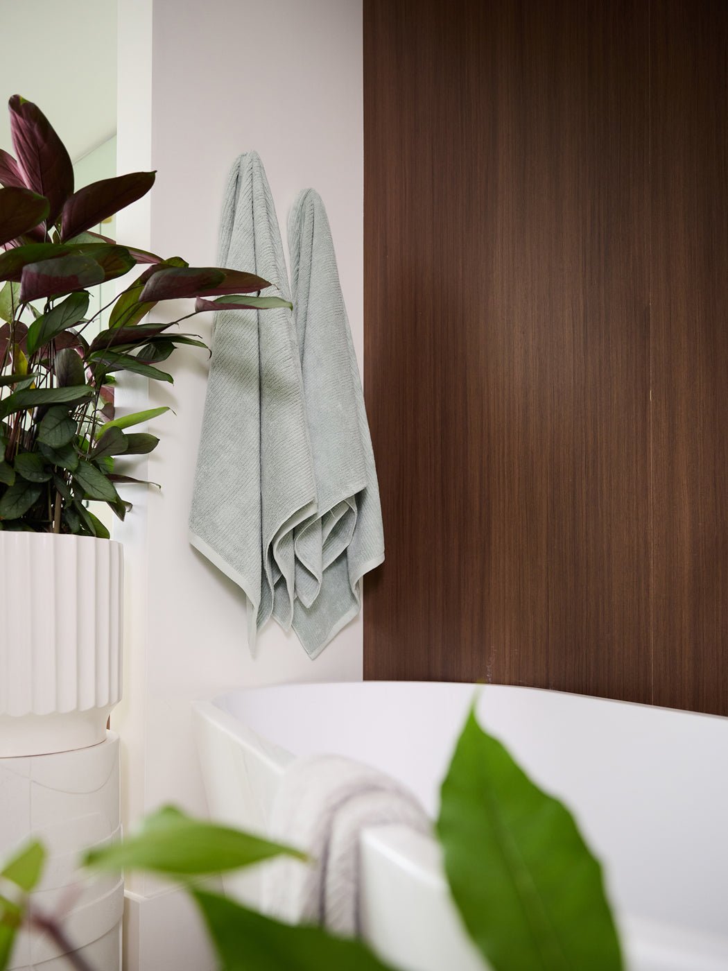 Two Cozy Earth Ribbed Terry Bath Sheets in light gray hang on a wall by a bathtub. A large potted plant with green and purple leaves is nearby, set against a white and dark wood panel wall.|Color:Laurel