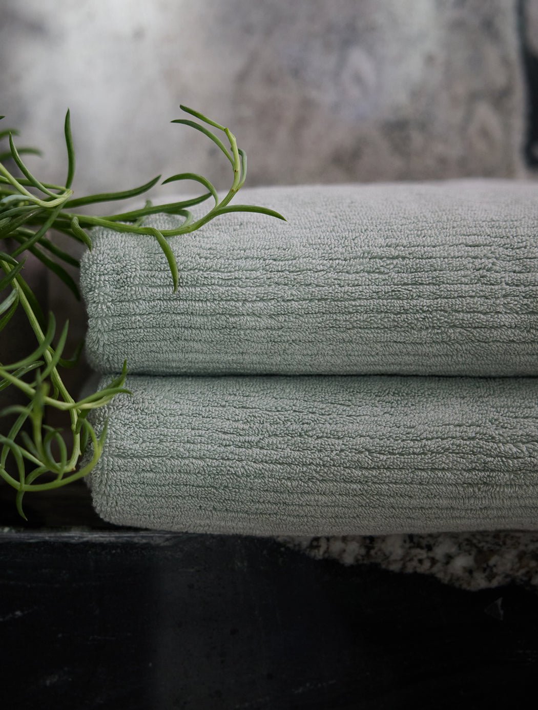 Two Cozy Earth Ribbed Terry Bath Towels in light gray are neatly folded and stacked on a dark surface, topped with a green plant. A stone or concrete background completes the modern look.|Color:Laurel
