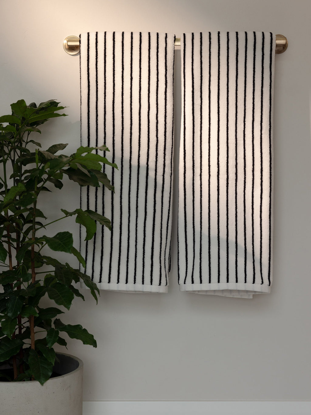 Two Luxe Bath Towels by Cozy Earth, featuring black vertical stripes on a white background, hang neatly on a golden towel rack attached to a light-colored wall. A potted green plant sits on the floor to the left of the towels, adding a touch of nature to the scene. |Color:Black Stripe