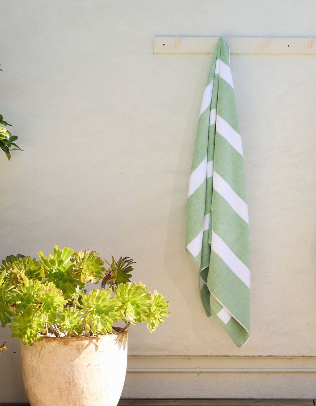 The Cozy Earth Classic Stripe Resort Towel in green and white hangs on a wall hook above a beige planter filled with green succulents, all brightly illuminated by sunlight.|Color:Julep