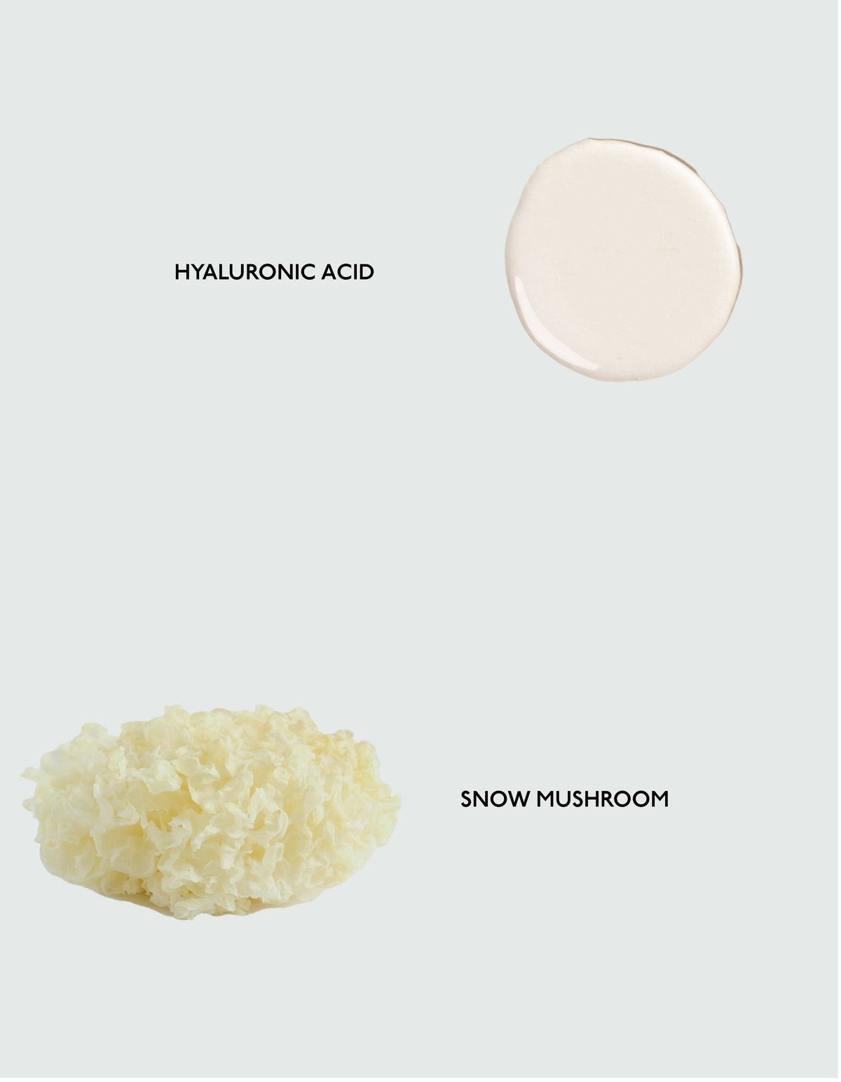 The image showcases two key ingredients from Cozy Earth's Body Serum against a light grey background. At the top, there is a dollop of white hyaluronic acid, and below it lies a cream-colored snow mushroom with a frilly texture. Both ingredients are clearly labeled: "Hyaluronic Acid" and "Snow Mushroom.